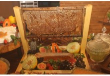 Bodas de Ouro Tininha e Adolfo