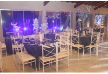 Niver 15 Anos Ana Laura  Rocha