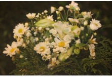 Casamento Ludmila e Gustavo