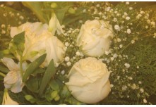 Casamento Ludmila e Gustavo