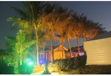 Casamento Ludmila e Gustavo