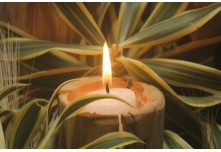 Bodas de Pérola – Nielcy e Roberto