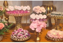  Niver 15 Anos Lorena Cintra