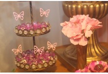  Niver 15 Anos Lorena Cintra