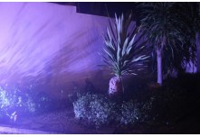  Niver 15 Anos Lorena Cintra