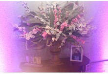  Niver 15 Anos Lorena Cintra