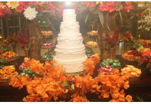 Casamento Gabriela e Wesley 