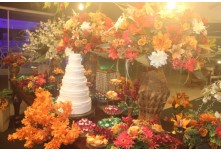 Casamento Gabriela e Wesley 