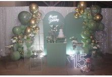 Niver 15 Anos Emanuelli Carlo 
