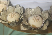 Niver 15 Anos Emanuelli Carlo 