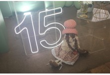 Niver 15 Anos Emanuelli Carlo 