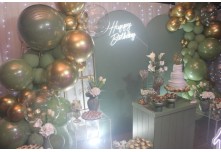 Niver 15 Anos Emanuelli Carlo 