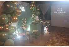 Niver 15 Anos Emanuelli Carlo 