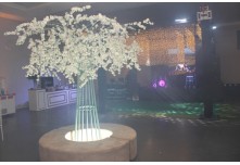 Casamento Larissa e Luis Gustavo