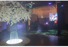 Casamento Larissa e Luis Gustavo