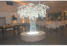 Casamento Larissa e Luis Gustavo