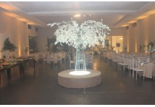 Casamento Larissa e Luis Gustavo