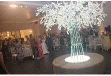 Casamento Larissa e Luis Gustavo