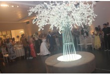 Casamento Larissa e Luis Gustavo