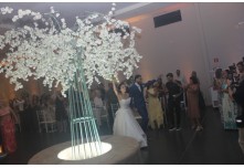 Casamento Larissa e Luis Gustavo
