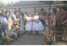 Casamento Luana e Guilherme 