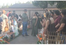 Casamento Luana e Guilherme 
